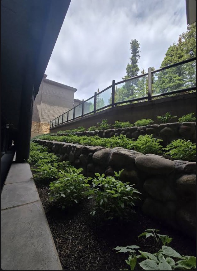 Boulder terrace planting beds